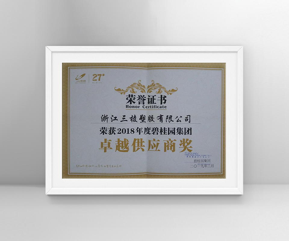Excellent Supplier Award-Zhejiang Sanling Plastic Co., Ltd.